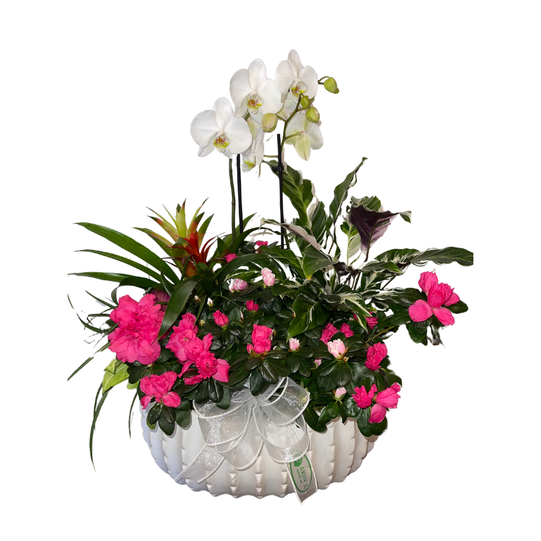 $200 Valentine&#39;s Arrangement