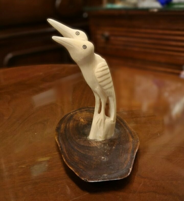 Pájaros  Hueso