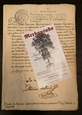 Documento Año 1772. Nombramientos en Lucena