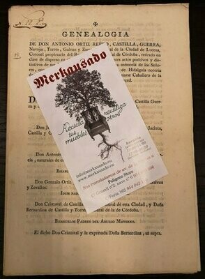 Documento Año 1803. Genealogía de D Antonio Ortiz