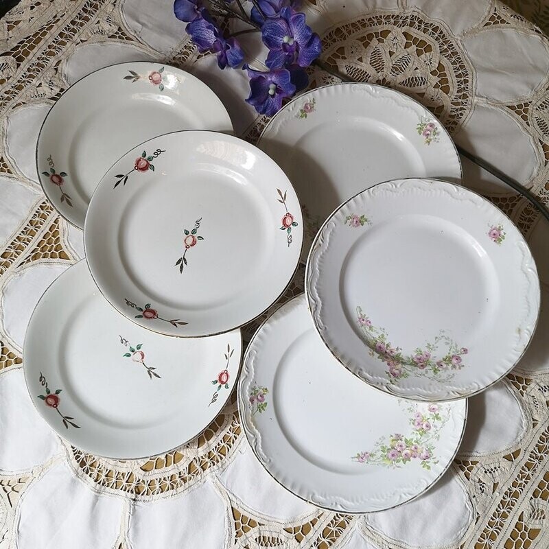 Lote Platos Pickman