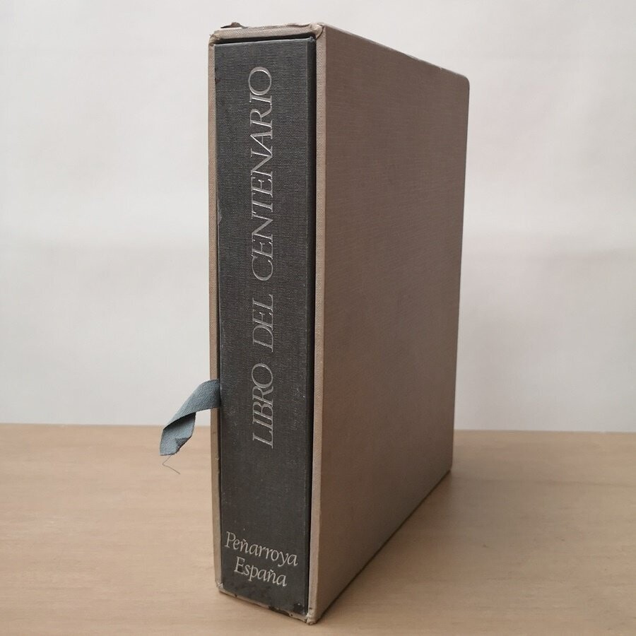 Libro del Centenario Peñarroya-España 1881-1981