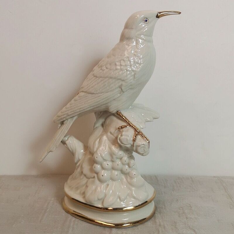 Pájaro Pico de Oro