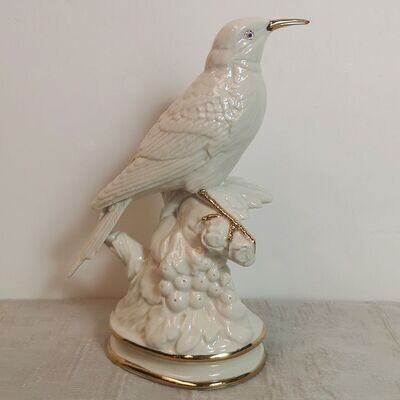 Pájaro Pico de Oro