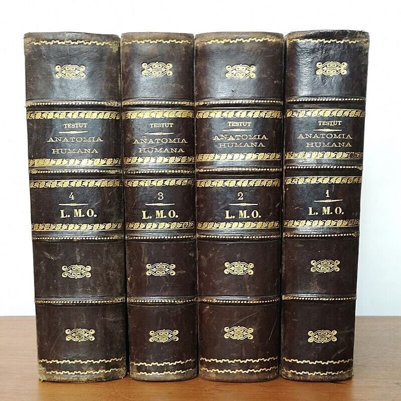 Anatomía Humana, sexta edición  1912