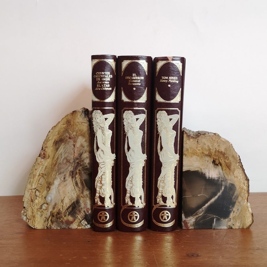 Sujeta Libros de Madera Fosilizada