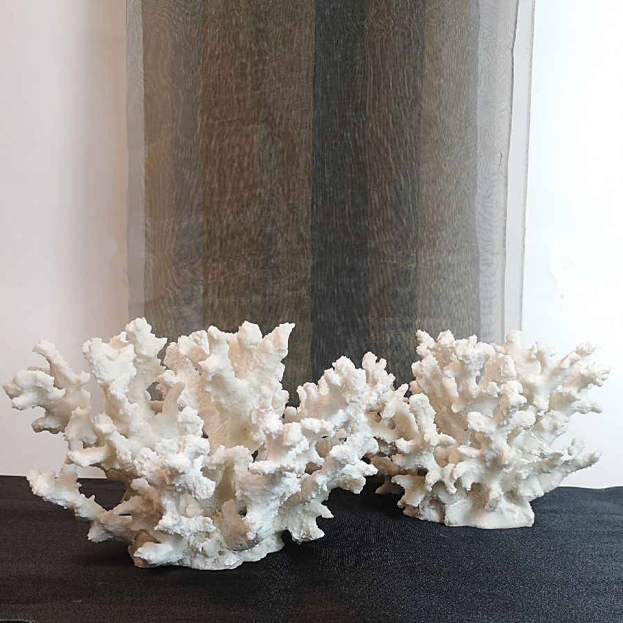 Par de Corales Blancos de Resina Par de Corales Blancos de Resina