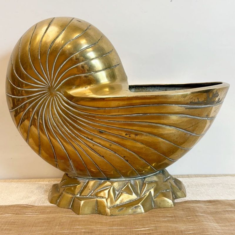 Macetero de Latón "Nautilus seashell "