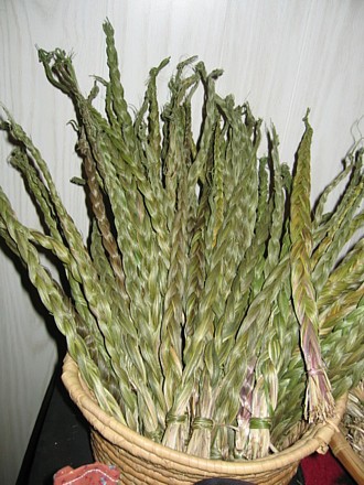 Braided Sweetgrass