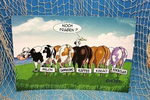 Tischset/Platzset Hösti*5 Kühe* Milch-Cappucino-Kaffee-Kakao-Schoko..noch Fragen