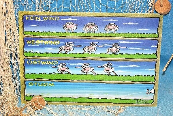 Platzset Hösti *Drei Schafe* ... Kein Wind, Westwind, Ostwind, Sturm .