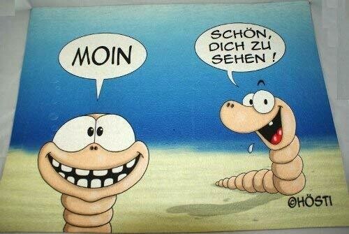 Fußmatte Moin.Schön Dich zu Sehen ca,60x45,5cm, 50% Polyester, 50% Gummi