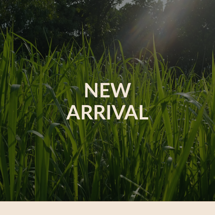 New Arrival 新到貨品