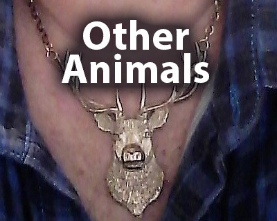 Other Animals