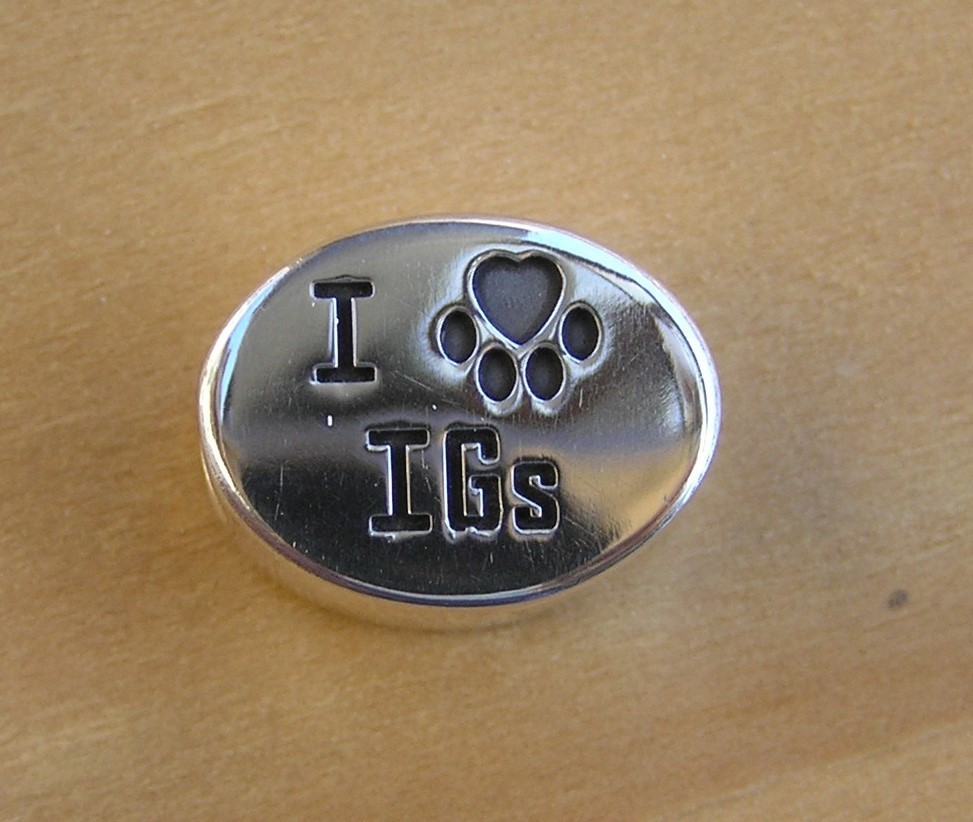I Love IG's ( Italian Greyhounds ) Bead
