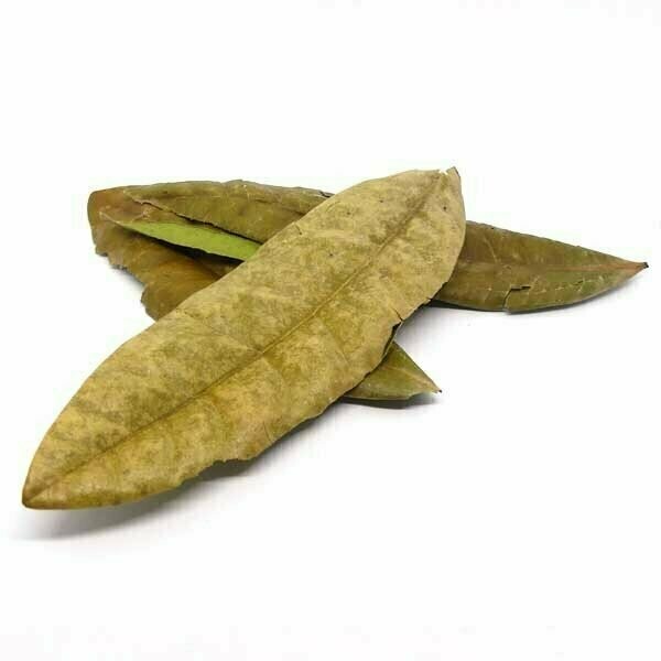 Feuilles de Quatre Épices