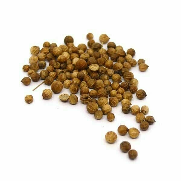 Coriandre en Grains