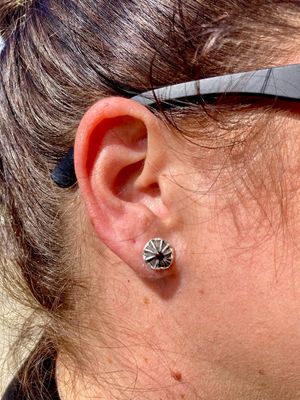 Opihi Shell Earrings Limpet Stud