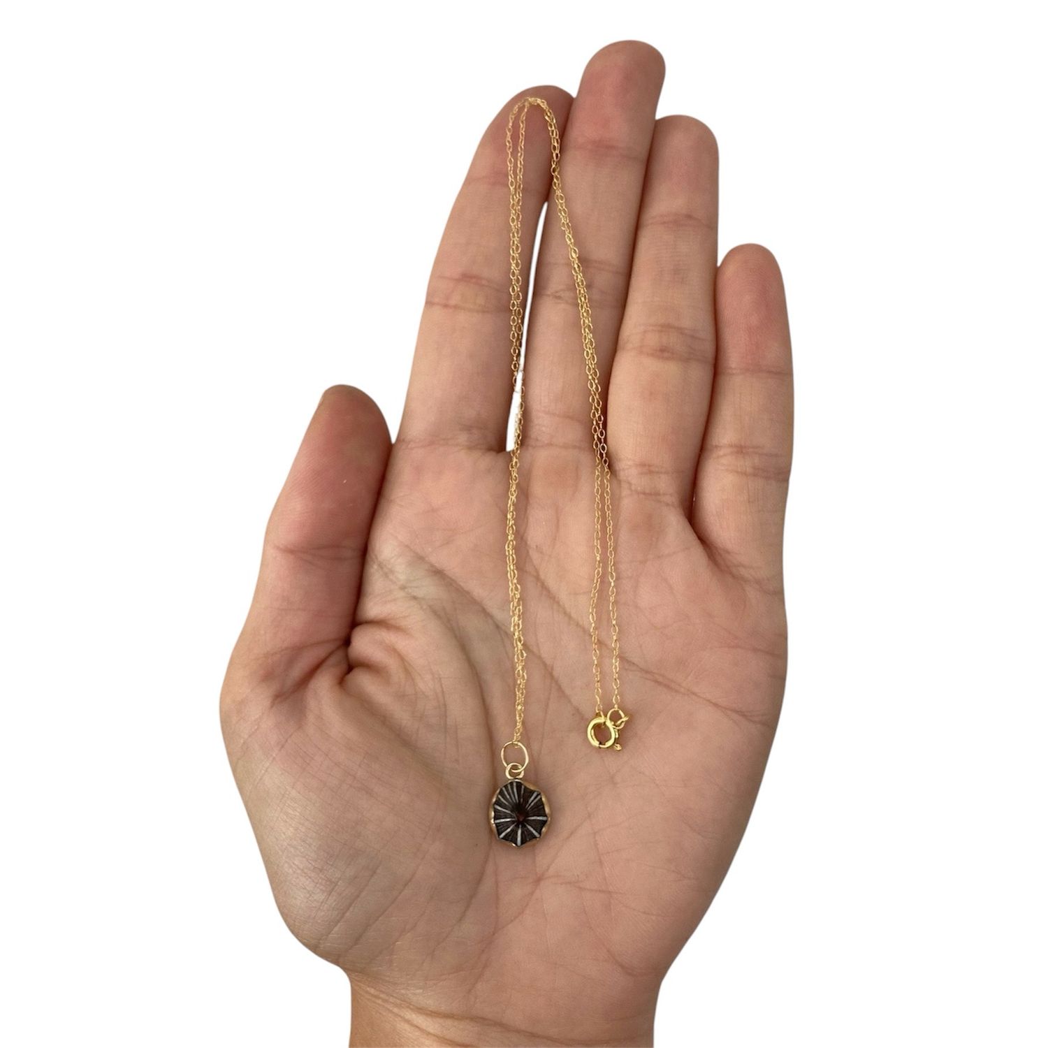 False Opihi Shell Necklace Pendant Limpet