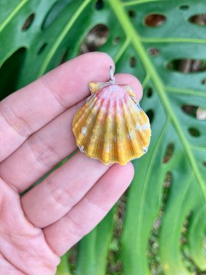 Sunrise Shell Necklace Sterling Silver Prong Set