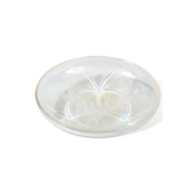 LALIQUE VOLUBILIS BOWL CLEAR