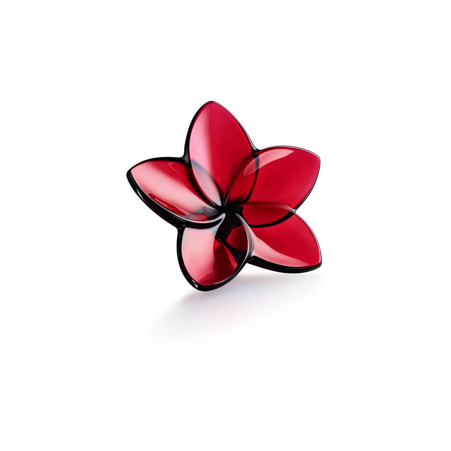 Baccarat THE BLOOM COLLECTION - Red