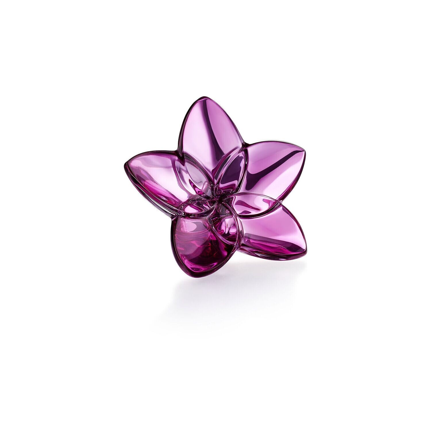 Baccarat THE BLOOM COLLECTION - Peoni