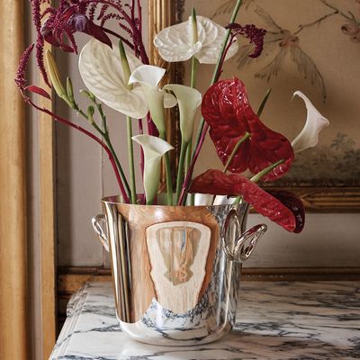 VERTIGO -CHAMPAGNE BUCKET