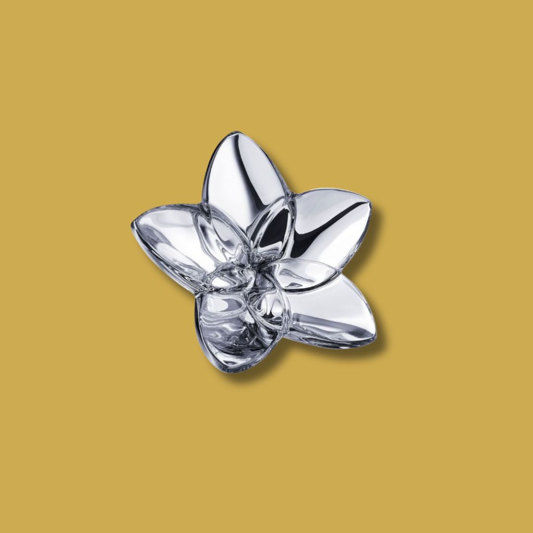 BACCARAT - The Bloom