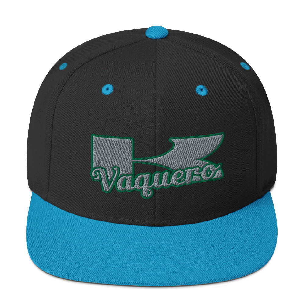 Kawasaki Silver and green Snapback Hat, Color: Black/ Teal
