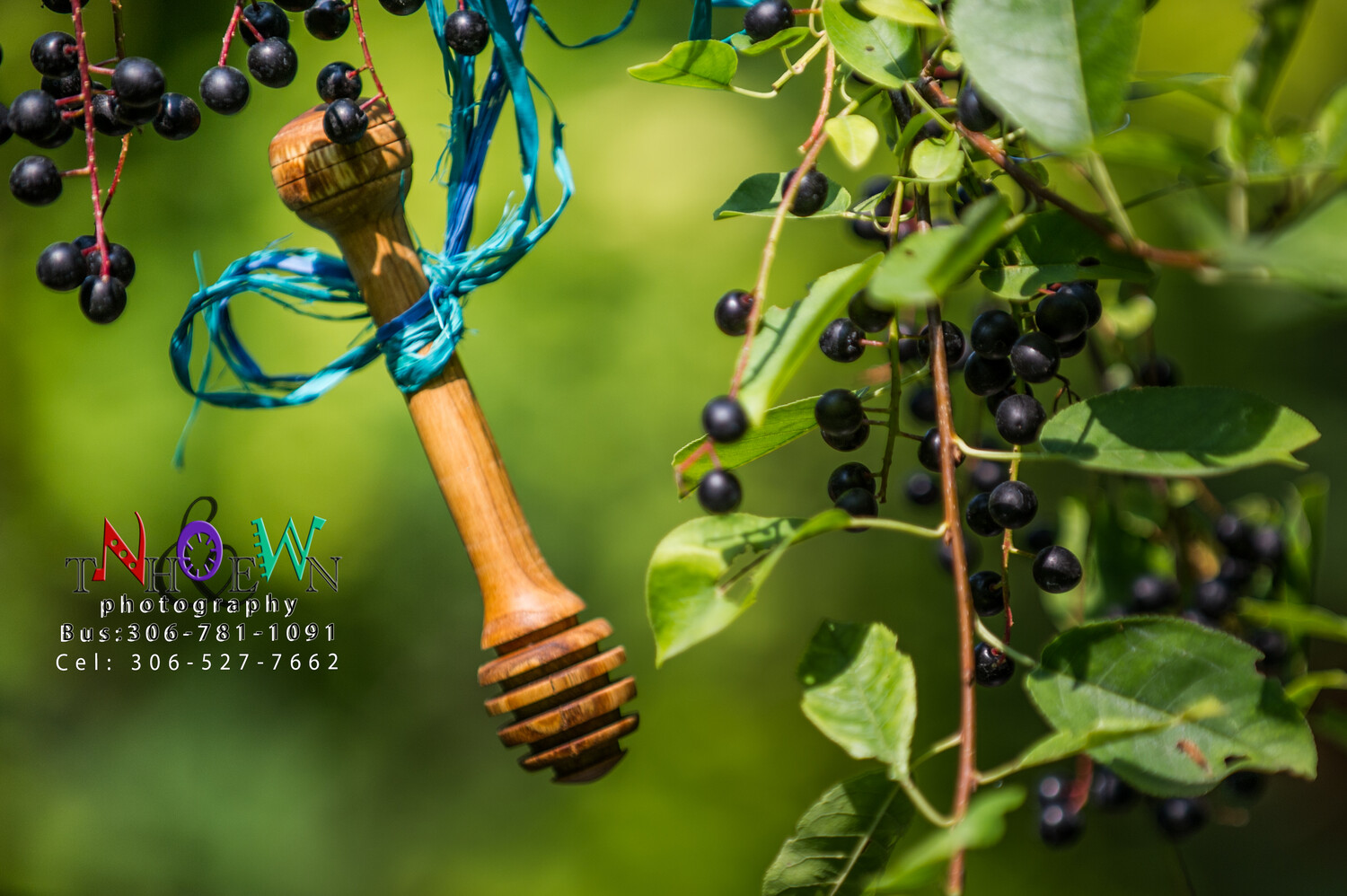 Wooden HONEY DIPPER -Chokecherry  Handcrafted Locally