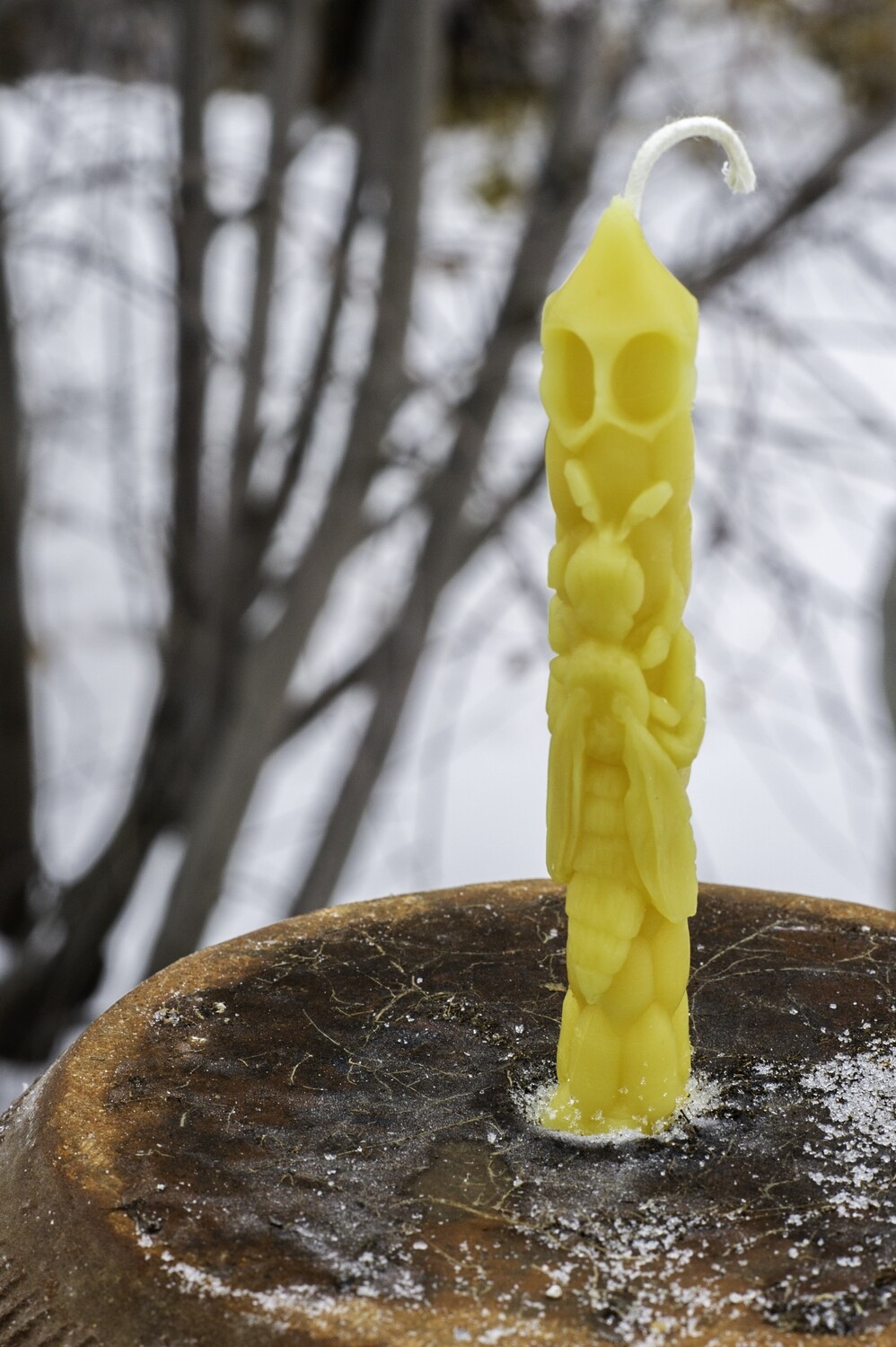 Candle: Bee on Comb Medium Fancy Taper