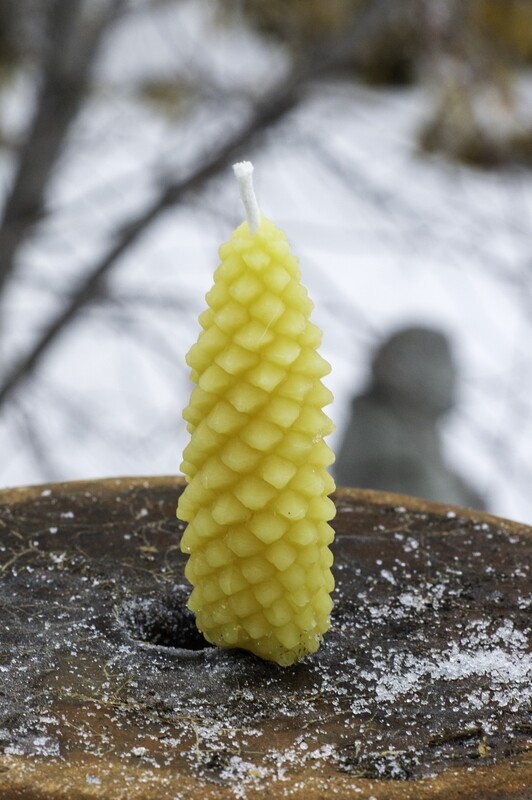 Candle: Pine Cone Fancy-Small Pillar-style