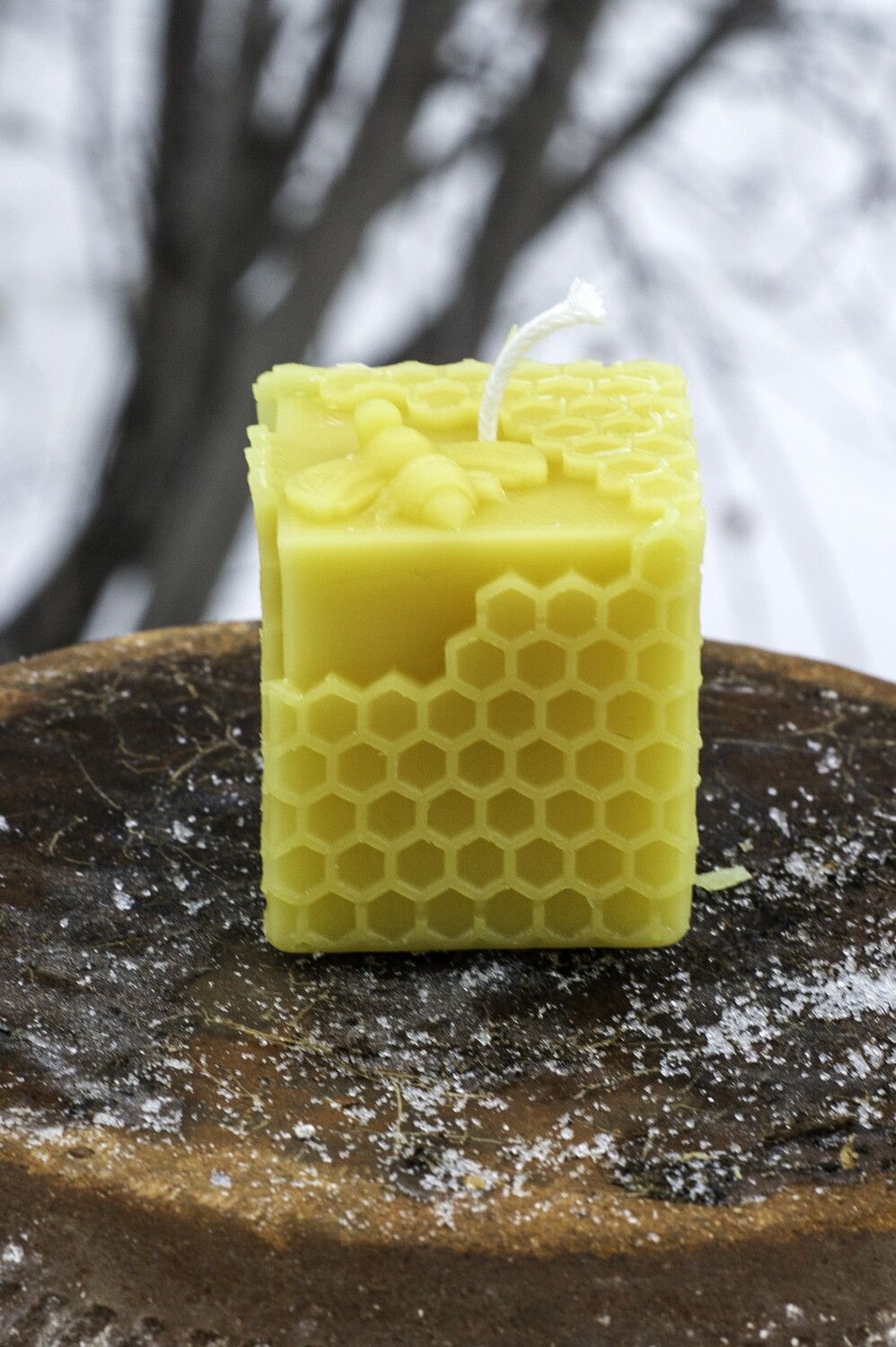 Candle: Square Bee on Comb