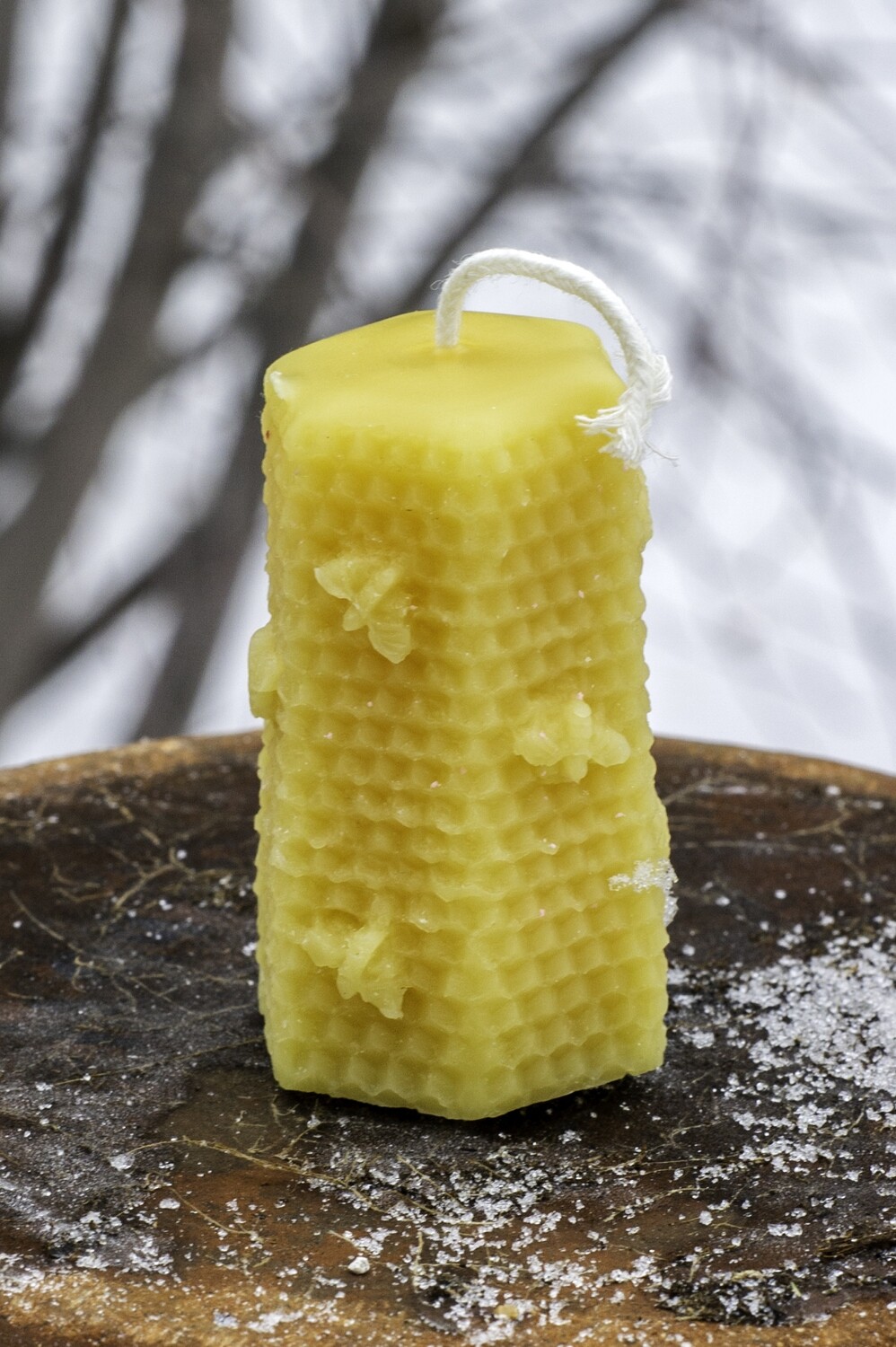 Candle: Bee on Comb Hexagon Medium Pillar-Style