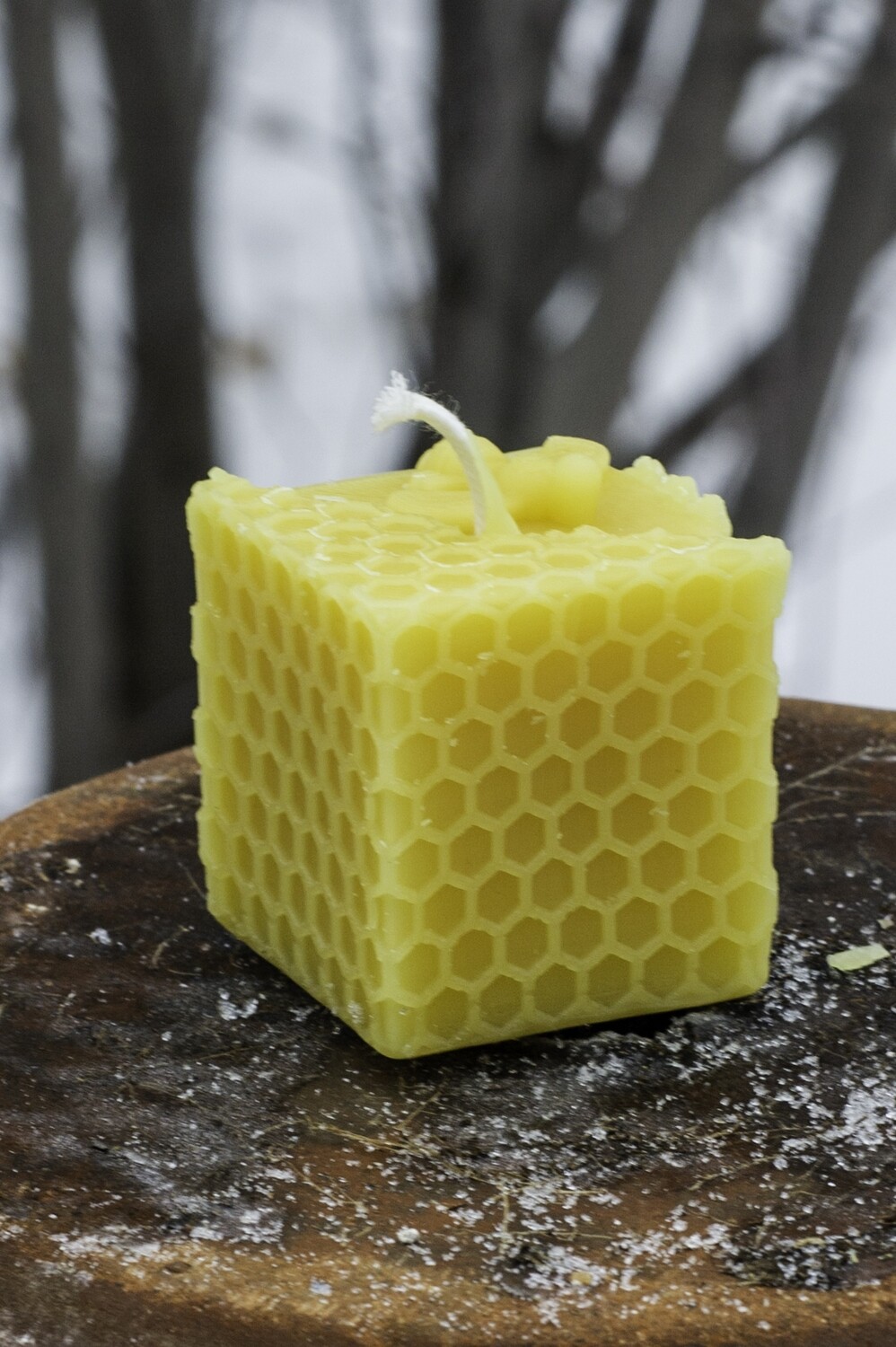 Candle: Square Bee on Comb