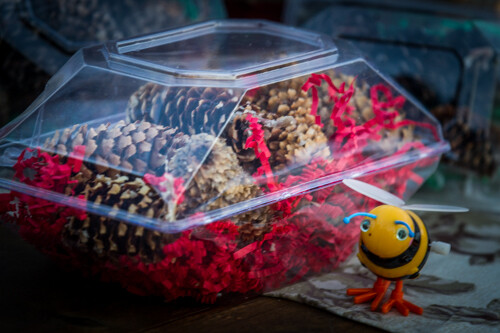 BEESWAX/PINECONE FIRESTARTERS Medium Pkg