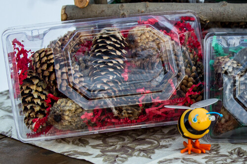 BEESWAX/PINECONE FIRESTARTERS Large Pkg