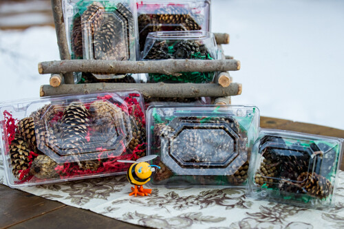 BEESWAX/PINECONE FIRESTARTERS Large Pkg