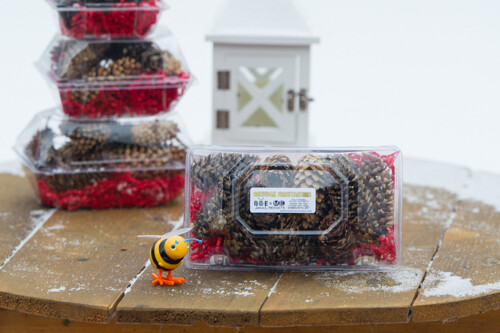 BEESWAX/PINECONE FIRESTARTERS XL PKG