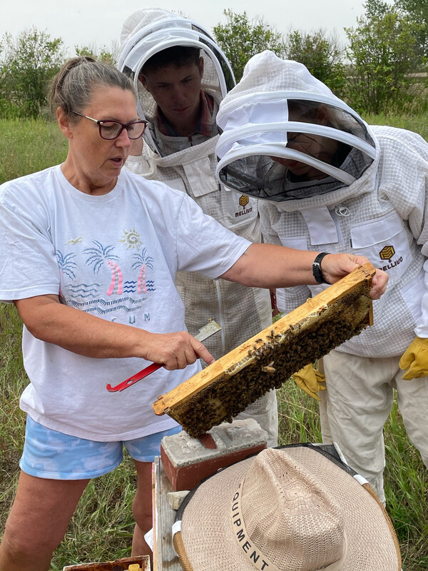 The BEE Experience