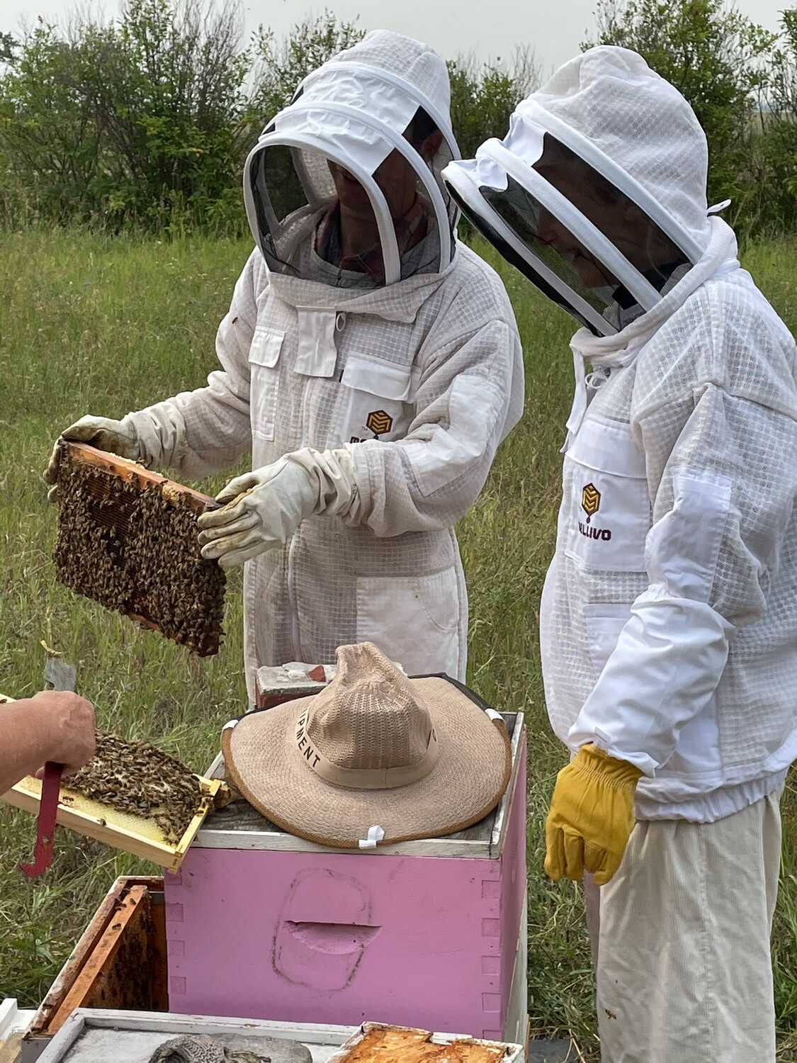 At The Apiary Meet The BEES 1-2 Hours (June-Aug)