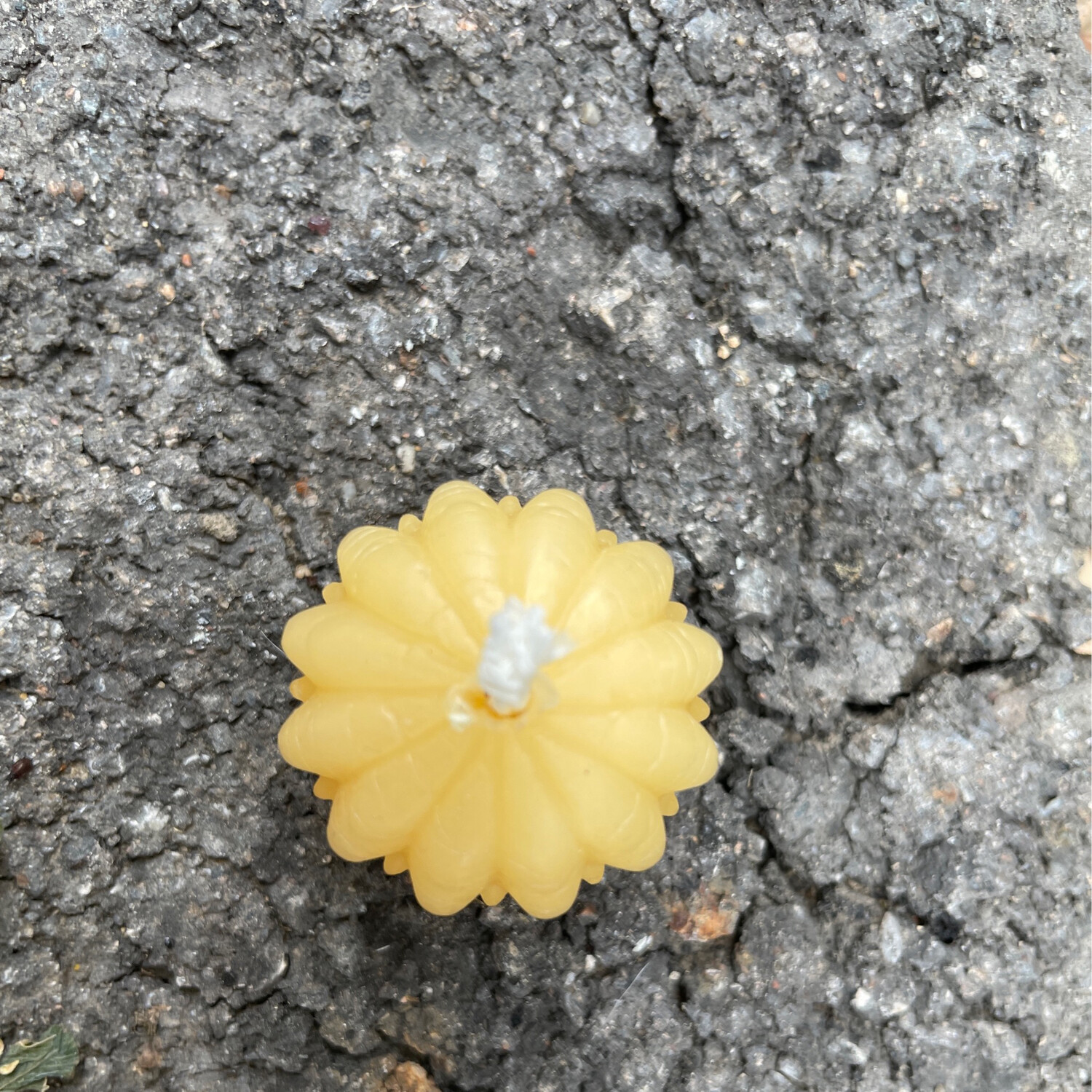 Candle: Daisy tea light