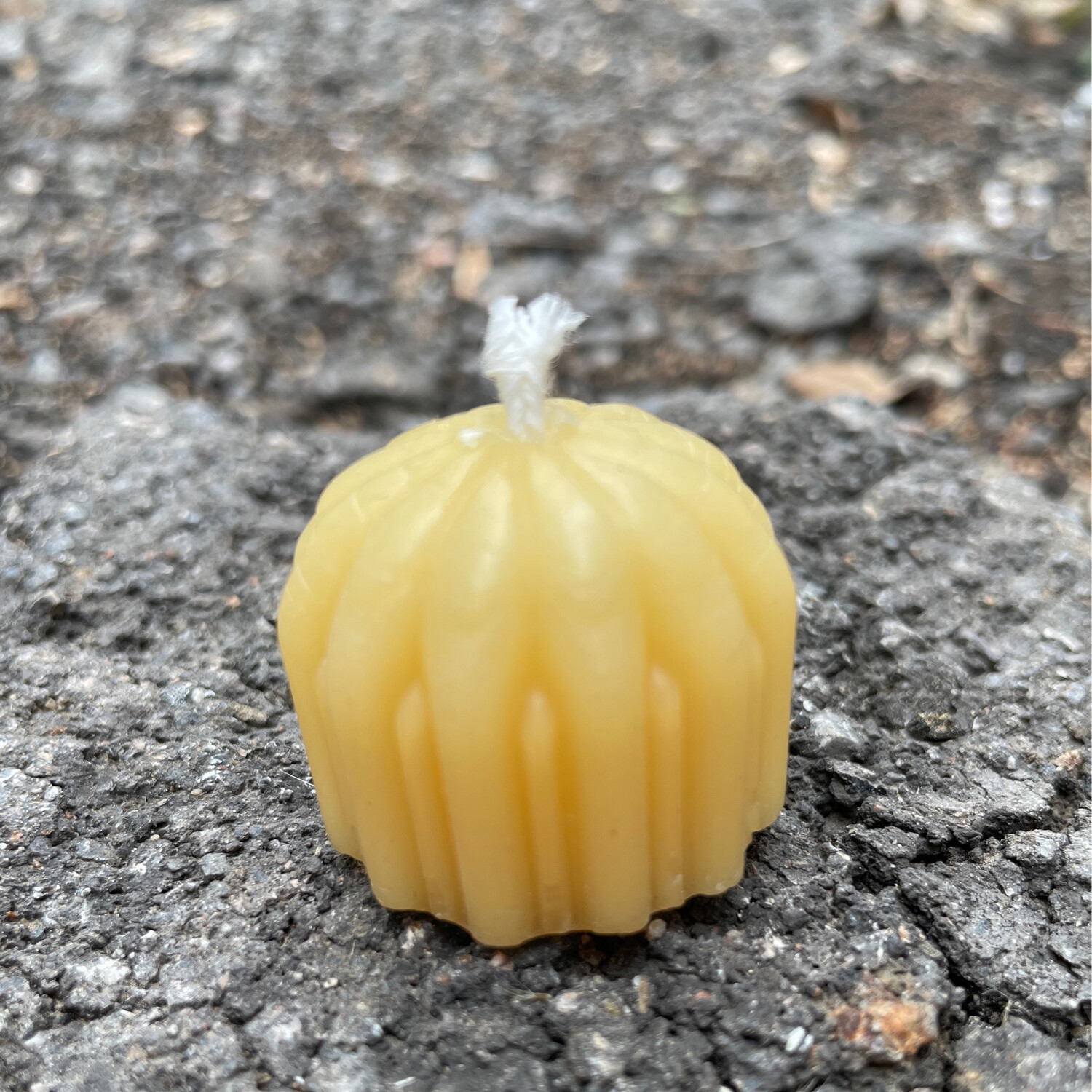 Candle: Daisy tea light