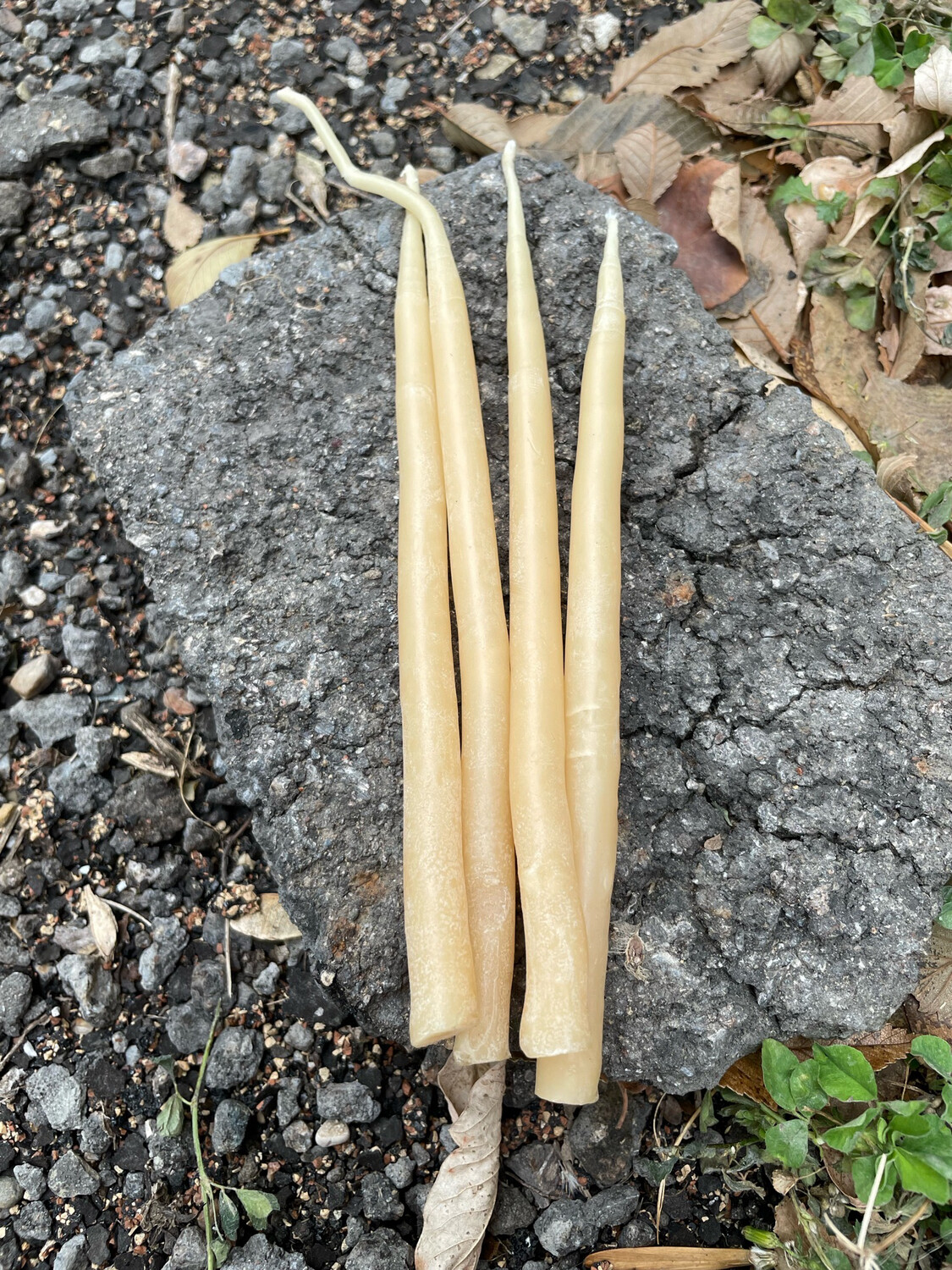 Candle: Taper Hand-dipped, Medium