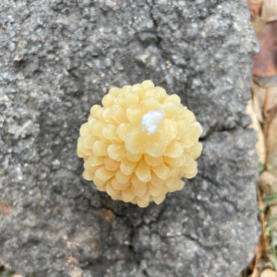 Candle: Pine Cone Votive (prickly)
