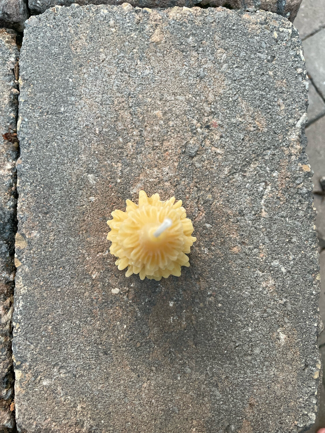Candle: Tree - Pine Flouncy Sm