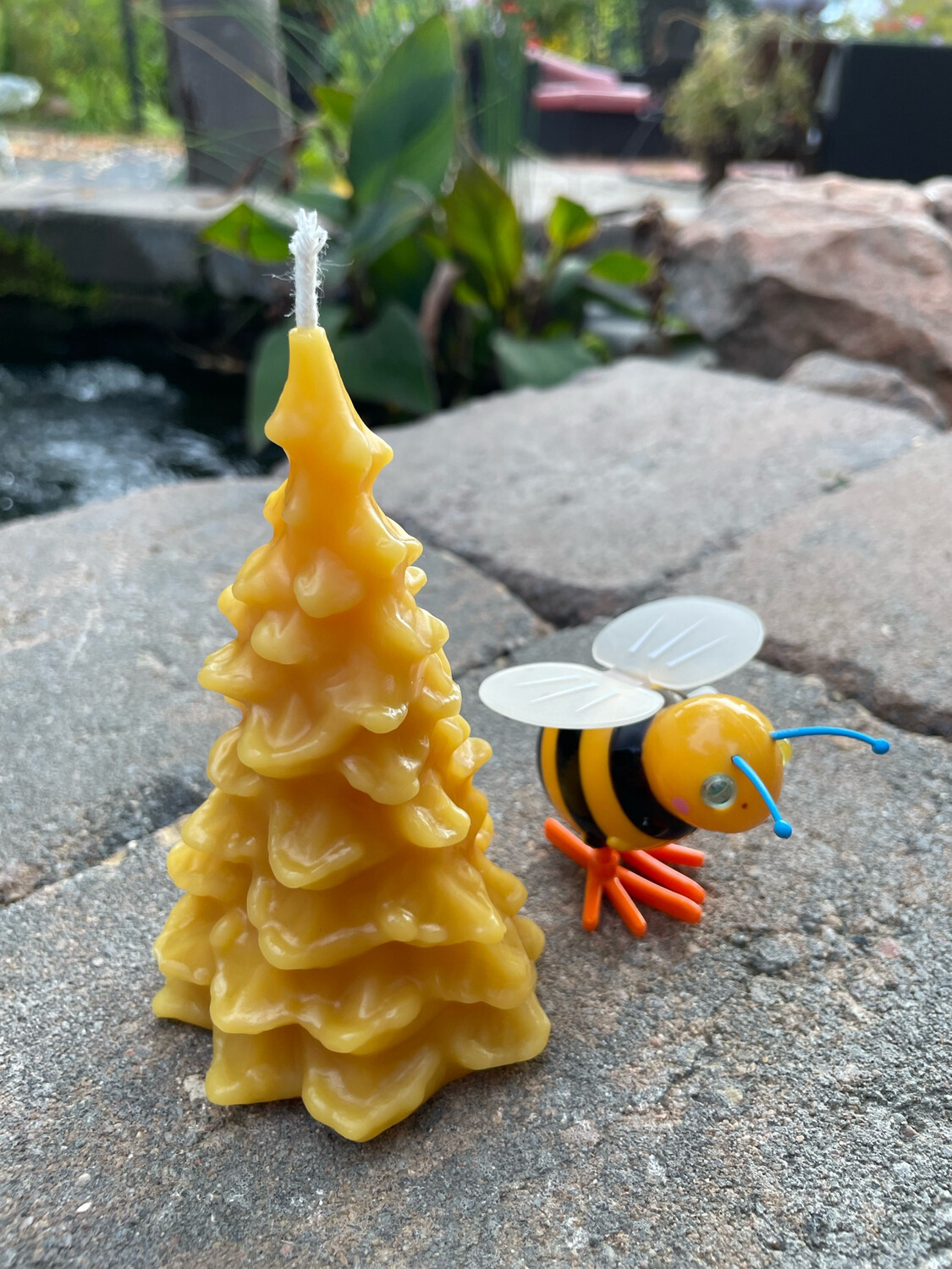Candle: Tree - Pine Drooping Lg