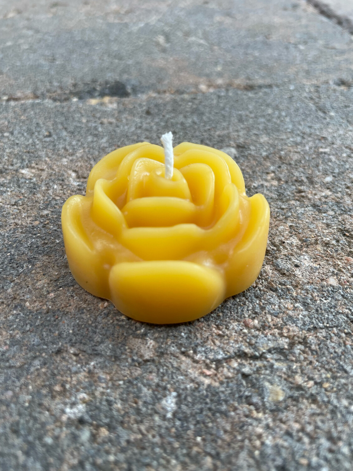 Candle: Floating Rose