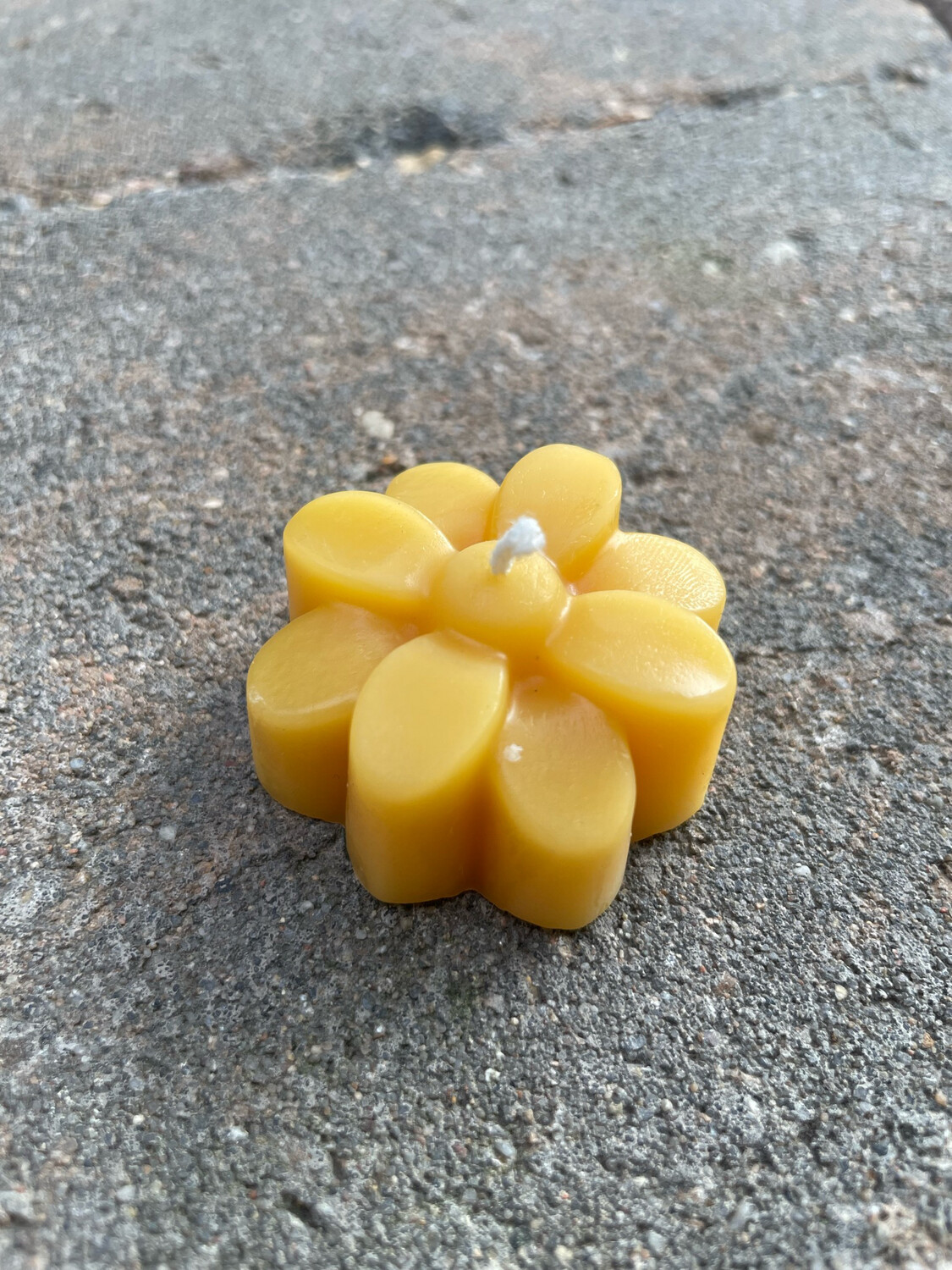Candle: Floating Daisy